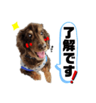 イヴくん by晩ママ（個別スタンプ：8）