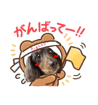 イヴくん by晩ママ（個別スタンプ：12）