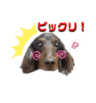 イヴくん by晩ママ（個別スタンプ：14）