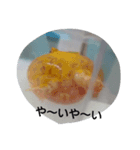 爬虫類両生類（個別スタンプ：4）