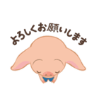 こぶたのあっちゃん 日常会話（個別スタンプ：10）