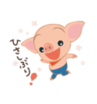 こぶたのあっちゃん 日常会話（個別スタンプ：24）