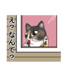 仲良しネコず。（個別スタンプ：2）