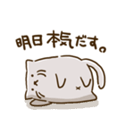 【日常】ねこのノエル（個別スタンプ：1）