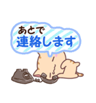 ねこ4匹3（個別スタンプ：23）