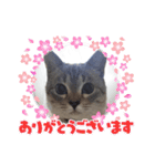 フレームいっぱい（個別スタンプ：2）