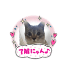 フレームいっぱい（個別スタンプ：10）