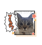 フレームいっぱい（個別スタンプ：11）