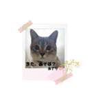 フレームいっぱい（個別スタンプ：16）