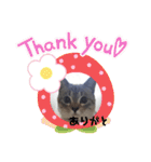 フレームいっぱい（個別スタンプ：30）