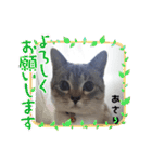 フレームいっぱい（個別スタンプ：33）