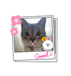フレームいっぱい（個別スタンプ：34）