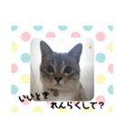 フレームいっぱい（個別スタンプ：35）