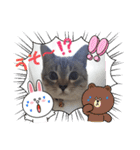 フレームいっぱい（個別スタンプ：37）