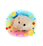 ゆきというなのハムスター（個別スタンプ：1）