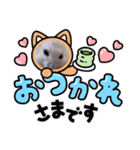 ゆきというなのハムスター（個別スタンプ：6）