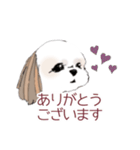 Stickers_Shih Tzu シーズースタンプ（個別スタンプ：1）