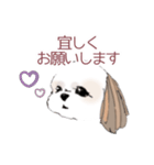 Stickers_Shih Tzu シーズースタンプ（個別スタンプ：2）