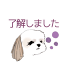 Stickers_Shih Tzu シーズースタンプ（個別スタンプ：3）