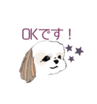 Stickers_Shih Tzu シーズースタンプ（個別スタンプ：5）