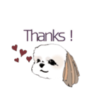 Stickers_Shih Tzu シーズースタンプ（個別スタンプ：6）