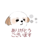 Stickers_Shih Tzu シーズースタンプ（個別スタンプ：9）