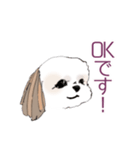 Stickers_Shih Tzu シーズースタンプ（個別スタンプ：15）