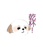 Stickers_Shih Tzu シーズースタンプ（個別スタンプ：19）