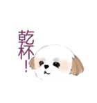 Stickers_Shih Tzu シーズースタンプ（個別スタンプ：20）