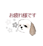 Stickers_Shih Tzu シーズースタンプ（個別スタンプ：24）