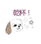 Stickers_Shih Tzu シーズースタンプ（個別スタンプ：25）