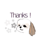 Stickers_Shih Tzu シーズースタンプ（個別スタンプ：26）