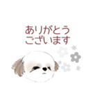 Stickers_Shih Tzu シーズースタンプ（個別スタンプ：27）