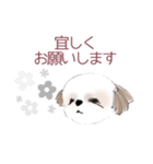 Stickers_Shih Tzu シーズースタンプ（個別スタンプ：28）