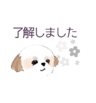 Stickers_Shih Tzu シーズースタンプ（個別スタンプ：29）