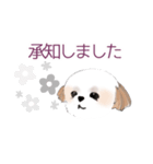 Stickers_Shih Tzu シーズースタンプ（個別スタンプ：30）