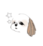 Stickers_Shih Tzu シーズースタンプ（個別スタンプ：32）