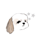 Stickers_Shih Tzu シーズースタンプ（個別スタンプ：33）