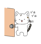 てんさいかわいいねこのまめだいふく（個別スタンプ：12）