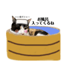 にゃお＆そー6（個別スタンプ：3）