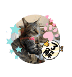 ほたる子店長見習い みるちゃん（個別スタンプ：5）