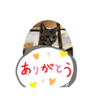 ほたる子店長見習い みるちゃん（個別スタンプ：6）
