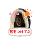 ほたる子店長見習い みるちゃん（個別スタンプ：10）