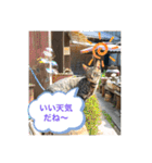 ほたる子店長見習い みるちゃん（個別スタンプ：20）