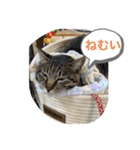 ほたる子店長見習い みるちゃん（個別スタンプ：22）