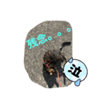 ほたる子店長見習い みるちゃん（個別スタンプ：23）