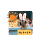 にこん言います。パート2（個別スタンプ：1）