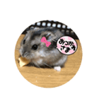 にこん言います。パート2（個別スタンプ：6）
