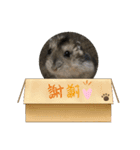 にこん言います。パート2（個別スタンプ：7）