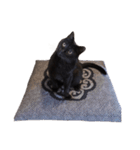 ざぶとん猫オレオ殿(実写版)（個別スタンプ：6）